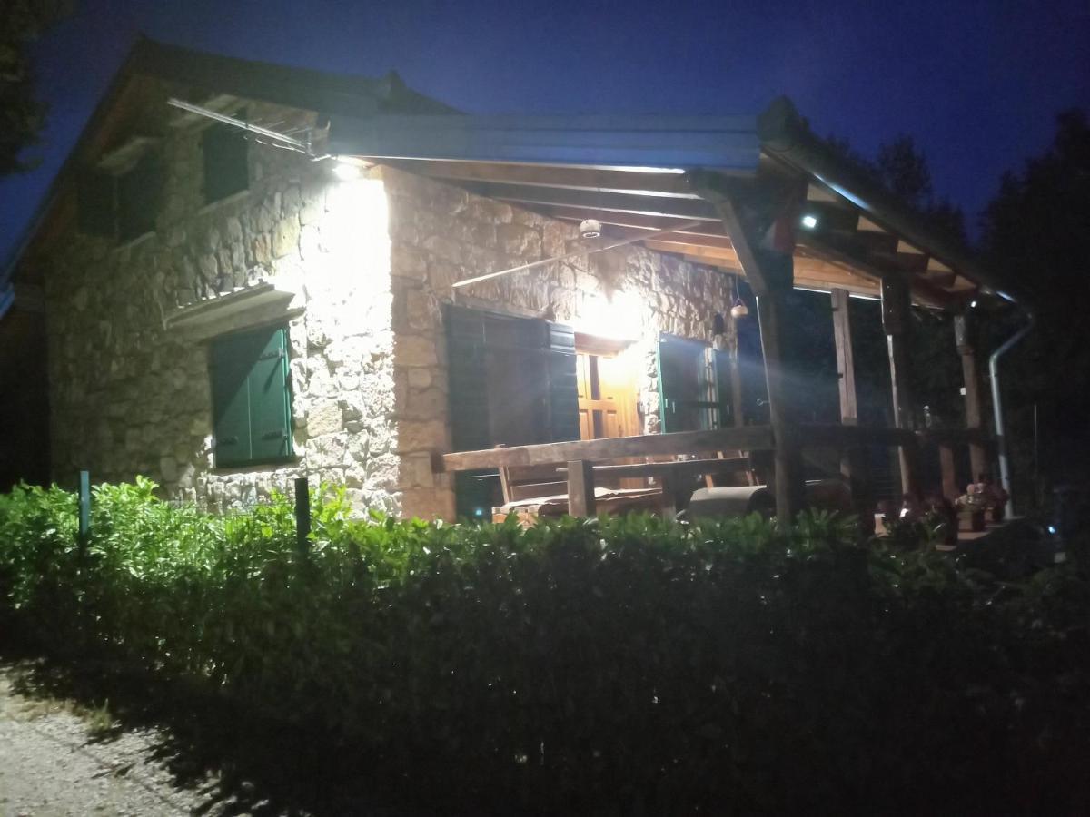 Stone House Vlasta Drnis Exterior photo