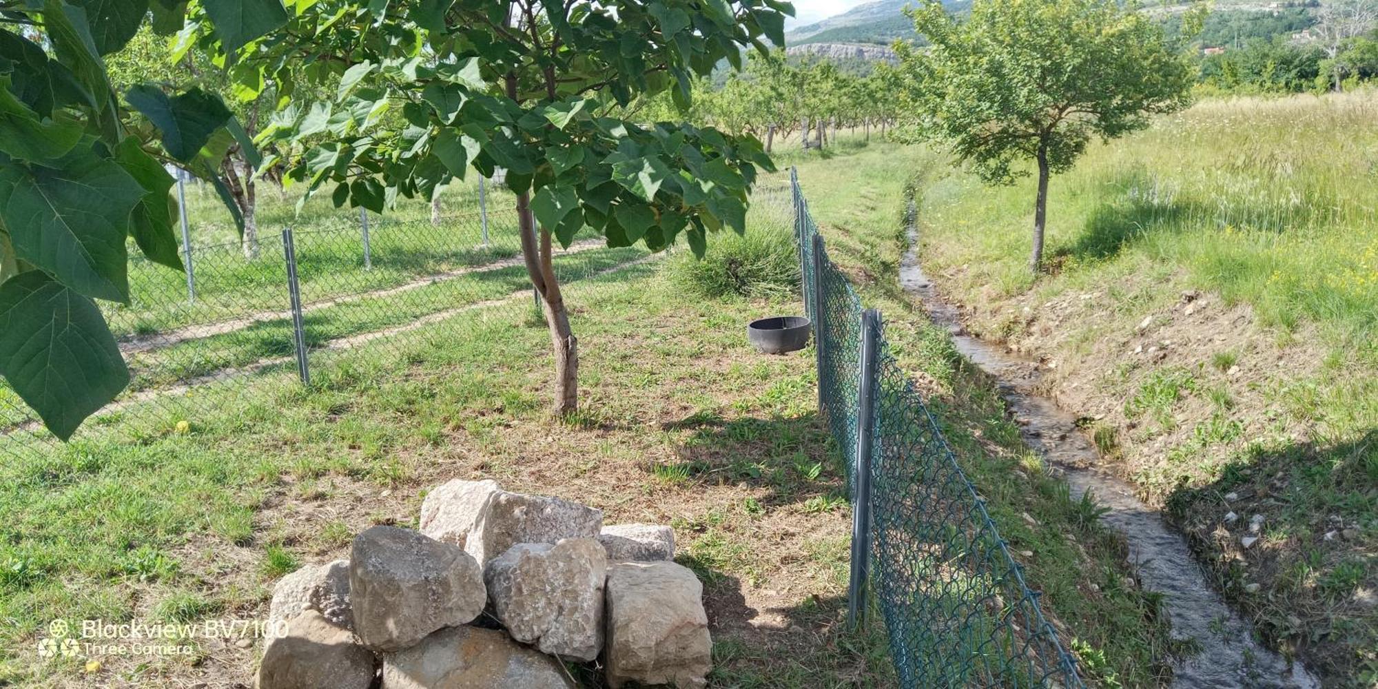 Stone House Vlasta Drnis Exterior photo