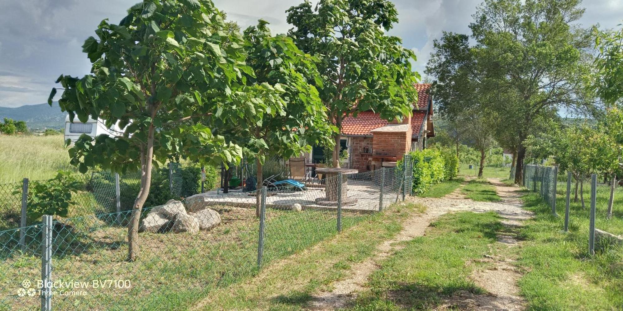 Stone House Vlasta Drnis Exterior photo