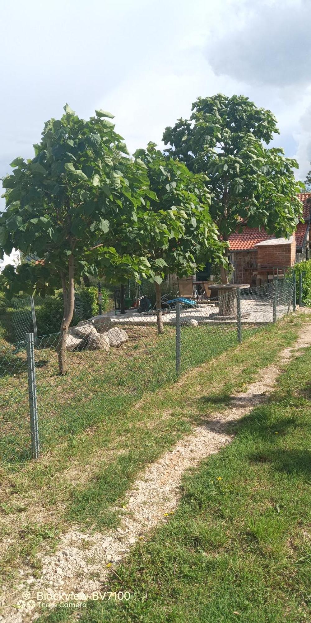 Stone House Vlasta Drnis Exterior photo